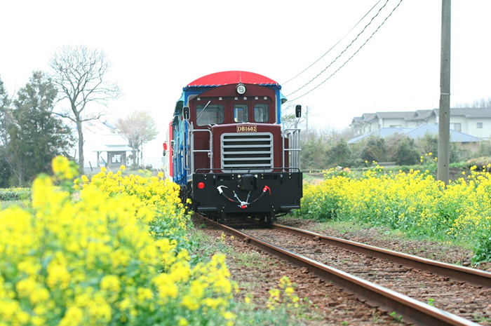 トロッコ列車（南阿蘇鉄道）