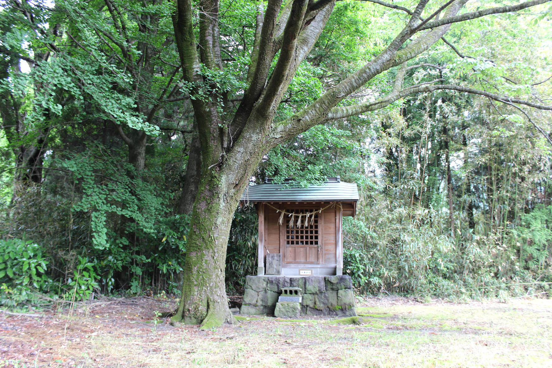 掛干神社