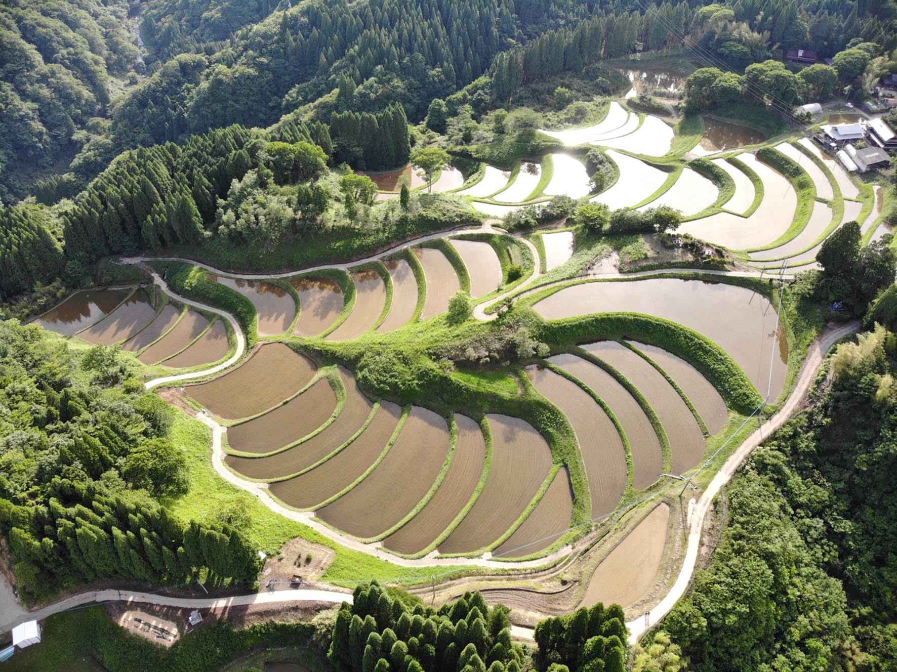 草部の棚田景観